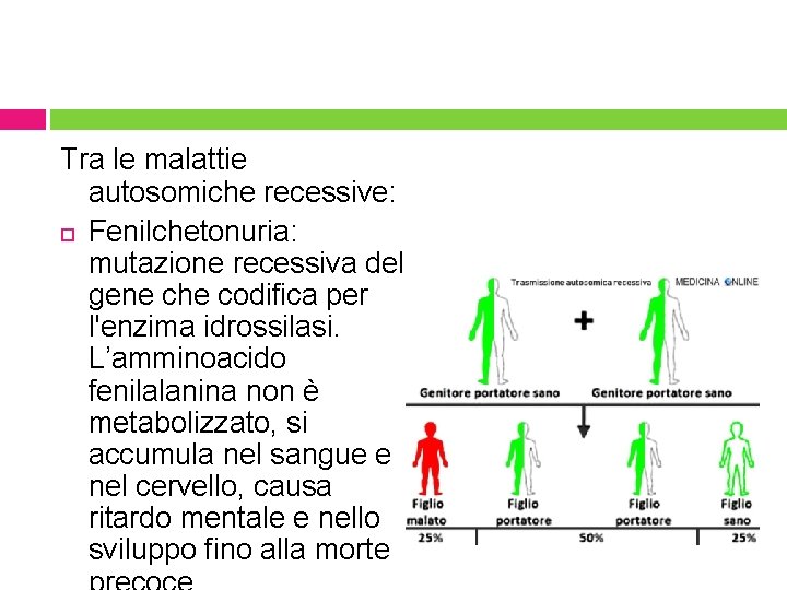 Tra le malattie autosomiche recessive: Fenilchetonuria: mutazione recessiva del gene che codifica per l'enzima