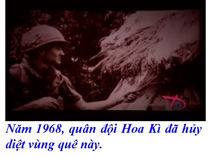 Năm 1968, quân đội Hoa Kì đã hủy diệt vùng quê này. 