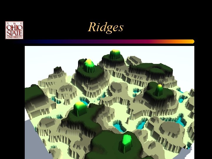 Ridges Ridges