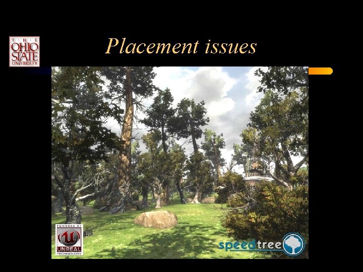 Placement issues Placement issues