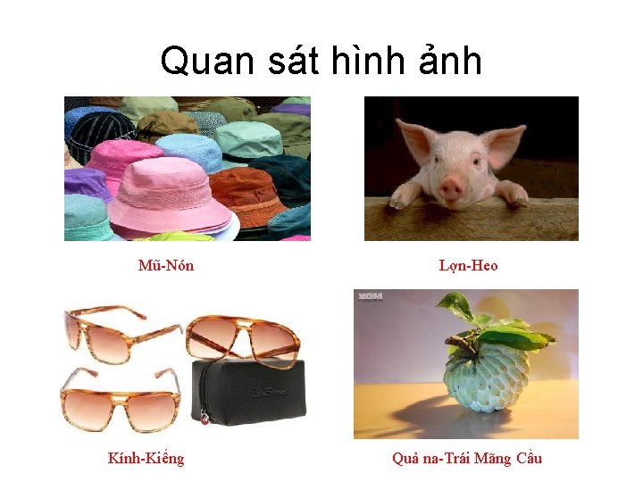 Quan sát hình ảnh Mũ-Nón Kính-Kiếng Lợn-Heo Quả na-Trái Mãng Cầu 