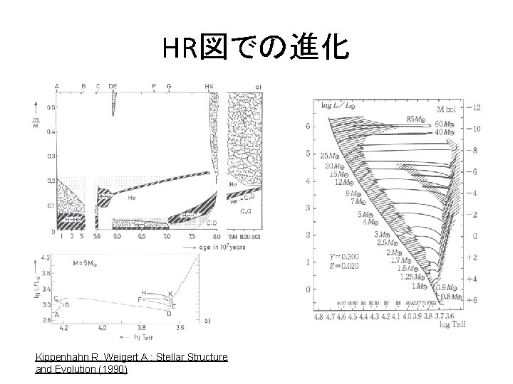 HR図での進化 Kippenhahn R, Weigert A : Stellar Structure and Evolution (1990) 