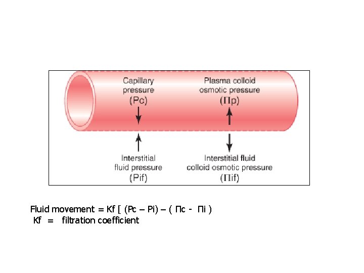 Fluid movement = Kf [ (Pc – Pi) – ( Πc - Πi )