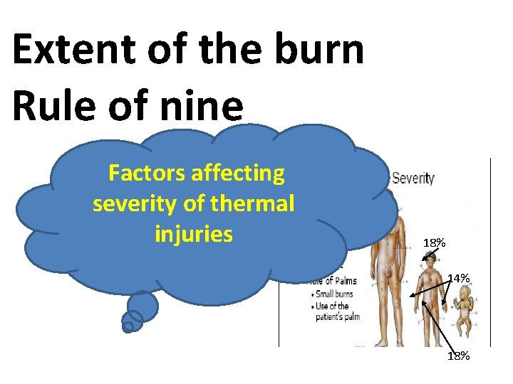 Extent of the burn Rule of nine Factors affecting severity of thermal injuries 18%