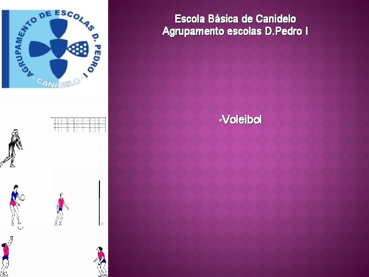 Escola Básica de Canidelo Agrupamento escolas D. Pedro I • Voleibol 