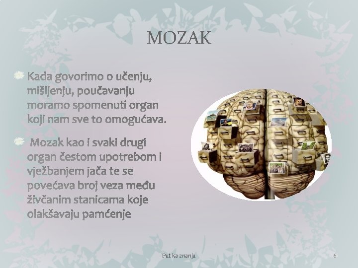 MOZAK Put ka znanju 6 