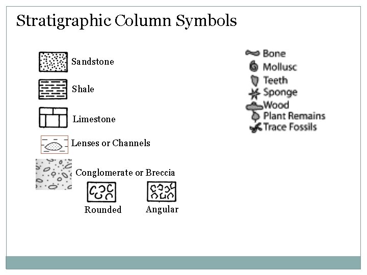 Stratigraphic Column Symbols Sandstone Shale Limestone Lenses or Channels Conglomerate or Breccia Rounded Angular