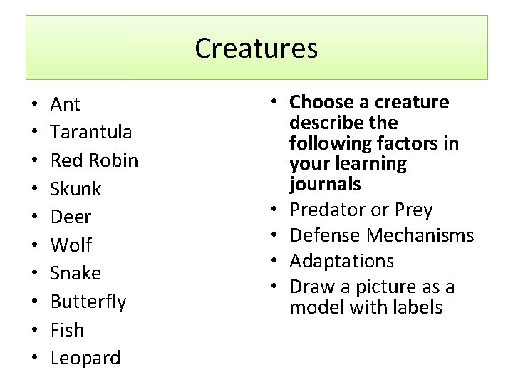 Creatures • • • Ant Tarantula Red Robin Skunk Deer Wolf Snake Butterfly Fish