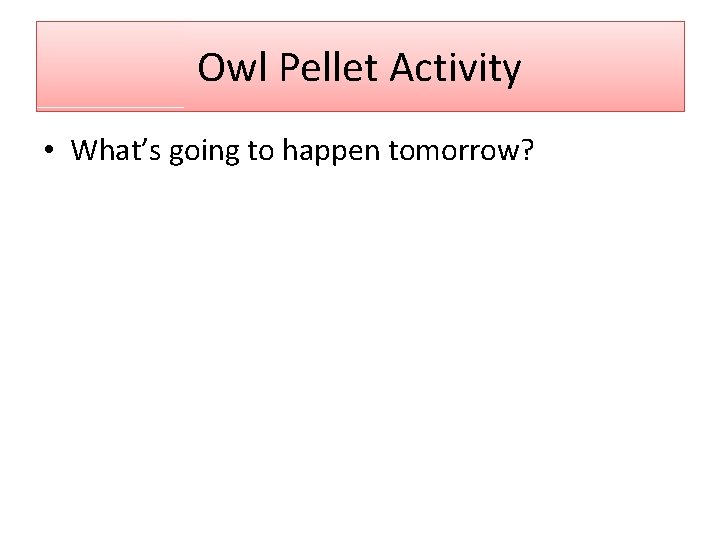 Owl Pellet Activity • What’s going to happen tomorrow? 