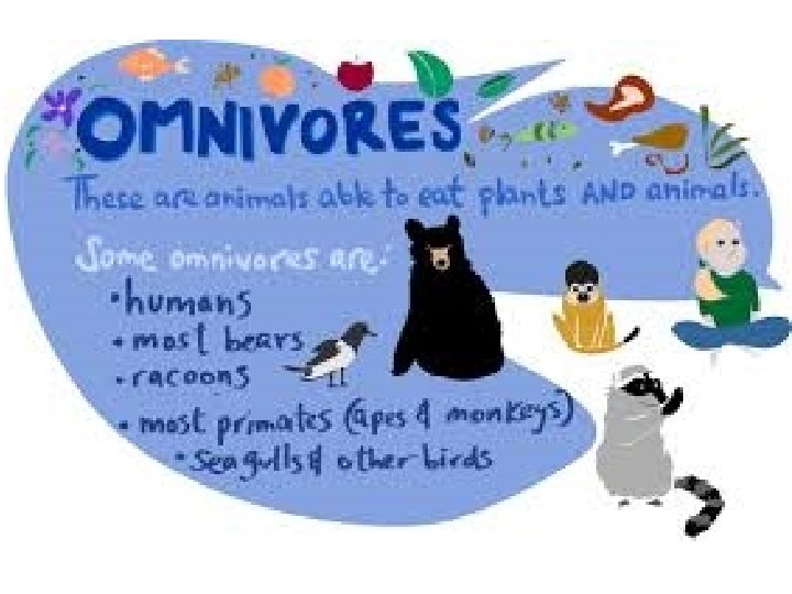 Omnivore 