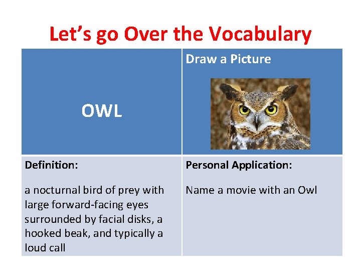 Let’s go Over the Vocabulary Draw a Picture OWL Definition: Personal Application: a nocturnal