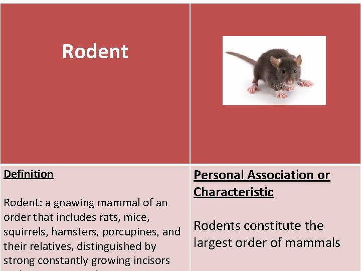 Rodent Definition Rodent: a gnawing mammal of an order that includes rats, mice, squirrels,