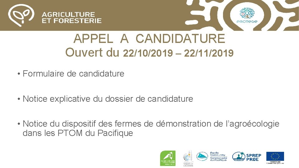 APPEL A CANDIDATURE Ouvert du 22/10/2019 – 22/11/2019 • Formulaire de candidature • Notice