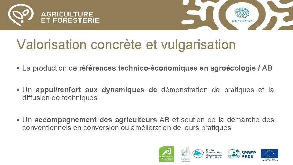 Valorisation concrète et vulgarisation • La production de références technico-économiques en agroécologie / AB