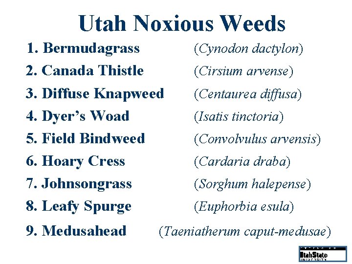 Utah Noxious Weeds 1. Bermudagrass 2. Canada Thistle 3. Diffuse Knapweed 4. Dyer’s Woad