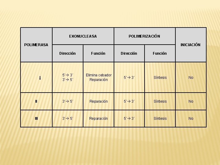 EXONUCLEASA POLIMERIZACIÓN POLIMERASA INICIACIÓN Dirección Función 5´ 3´ 3´ 5´ Elimina cebador Reparación 5´