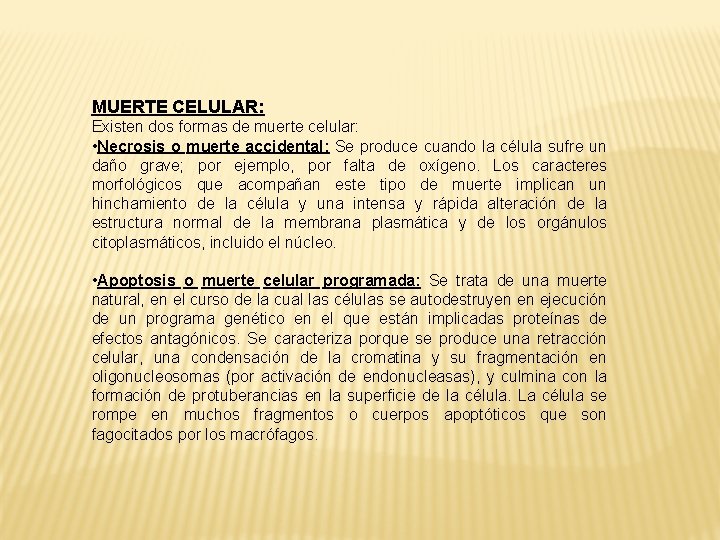 MUERTE CELULAR: Existen dos formas de muerte celular: • Necrosis o muerte accidental: Se