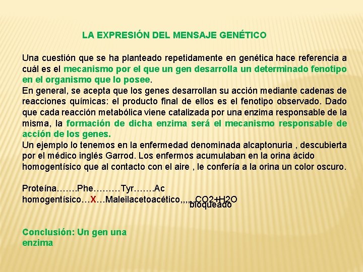LA EXPRESIÓN DEL MENSAJE GENÉTICO Una cuestión que se ha planteado repetidamente en genética