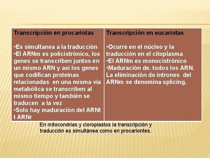 Transcripción en procariotas Transcripción en eucariotas • Es simultanea a la traducción • El