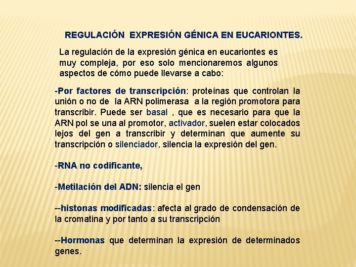 REGULACIÓN EXPRESIÓN GÉNICA EN EUCARIONTES. La regulación de la expresión génica en eucariontes es
