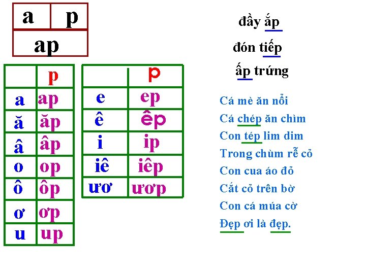 a p ap a ă â o ô ơ u p ap ăp âp