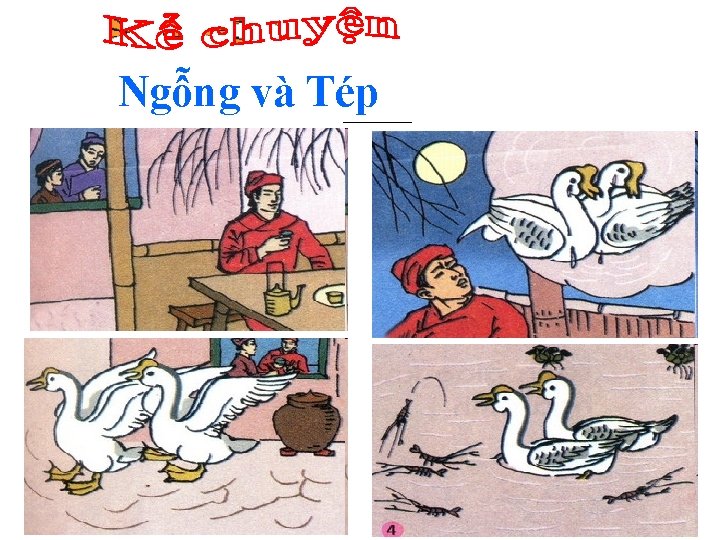 Ngỗng và Tép 