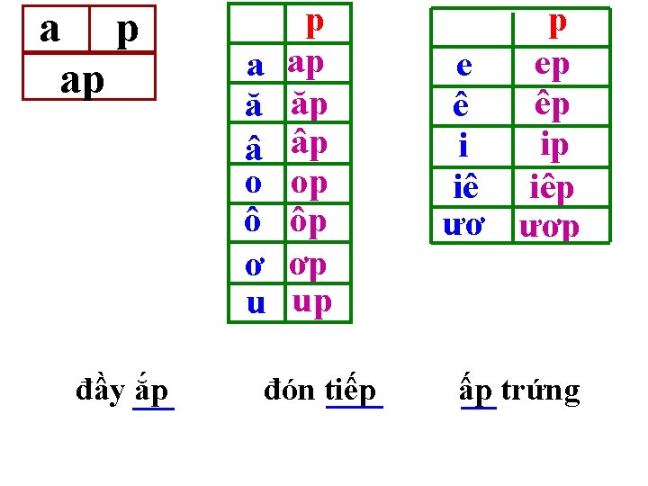 a p ap đầy ắp a ă â o ô ơ u p ap