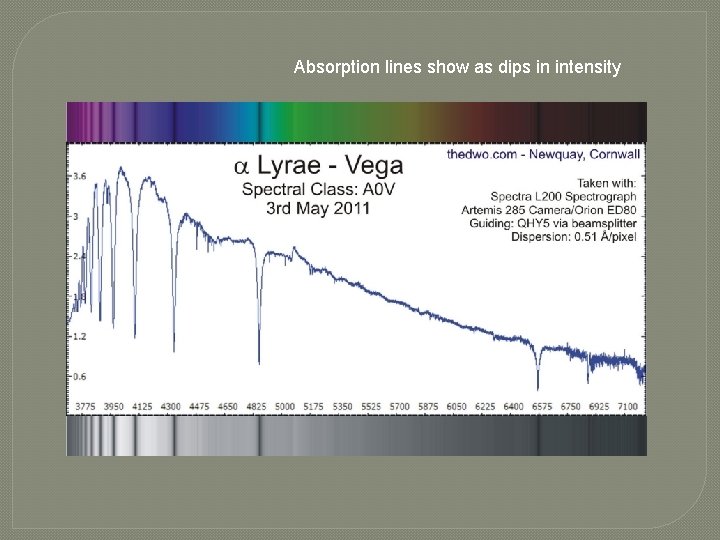 Absorption lines show as dips in intensity 