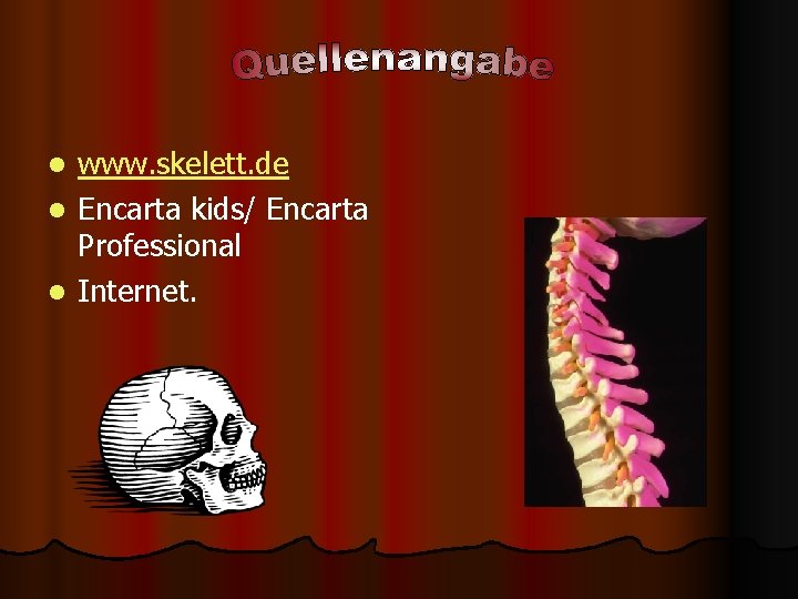 www. skelett. de l Encarta kids/ Encarta Professional l Internet. l 