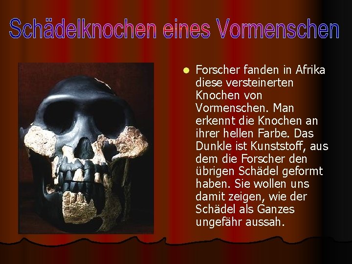 l Forscher fanden in Afrika diese versteinerten Knochen von Vormenschen. Man erkennt die Knochen