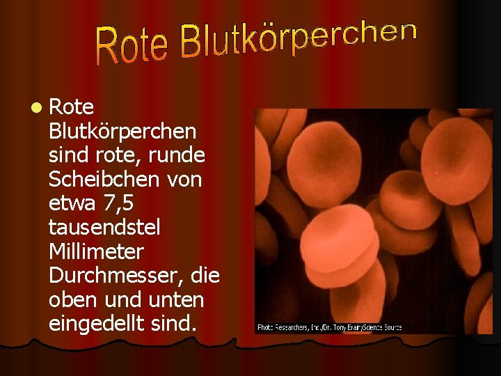 l Rote Blutkörperchen sind rote, runde Scheibchen von etwa 7, 5 tausendstel Millimeter Durchmesser,