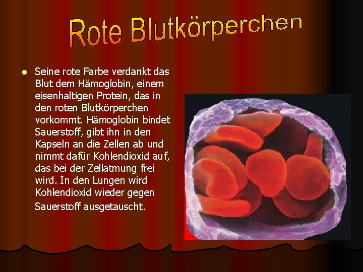 l Seine rote Farbe verdankt das Blut dem Hämoglobin, einem eisenhaltigen Protein, das in