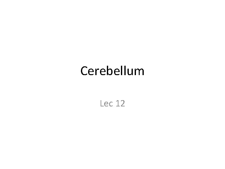 Cerebellum Lec 12 