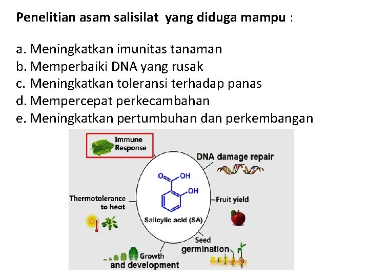 Penelitian asam salisilat yang diduga mampu : a. Meningkatkan imunitas tanaman b. Memperbaiki DNA