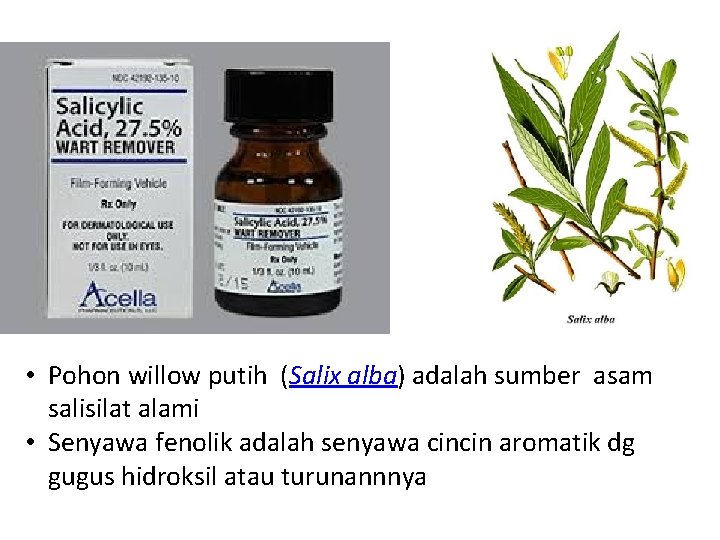  • Pohon willow putih (Salix alba) adalah sumber asam salisilat alami • Senyawa