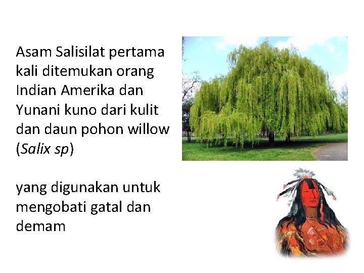 Asam Salisilat pertama kali ditemukan orang Indian Amerika dan Yunani kuno dari kulit dan