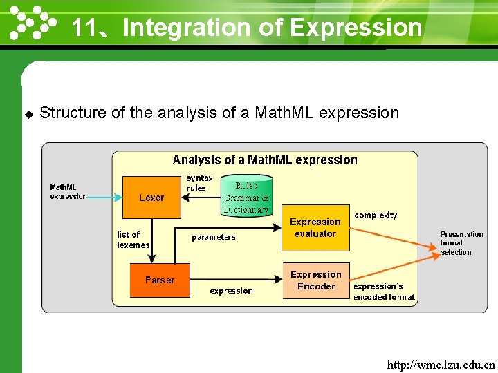 11、Integration of Expression www. themegallery. com u Structure of the analysis of a Math.