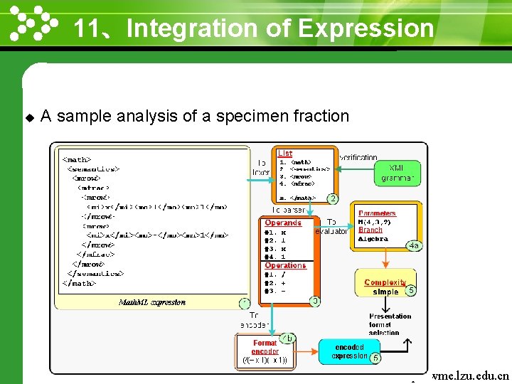 11、Integration of Expression www. themegallery. com u A sample analysis of a specimen fraction