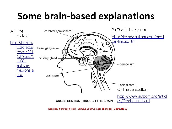 Some brain-based explanations A) The cortex http: //health. ucsd. edu/ news/201 1/Pages/1 1 -08