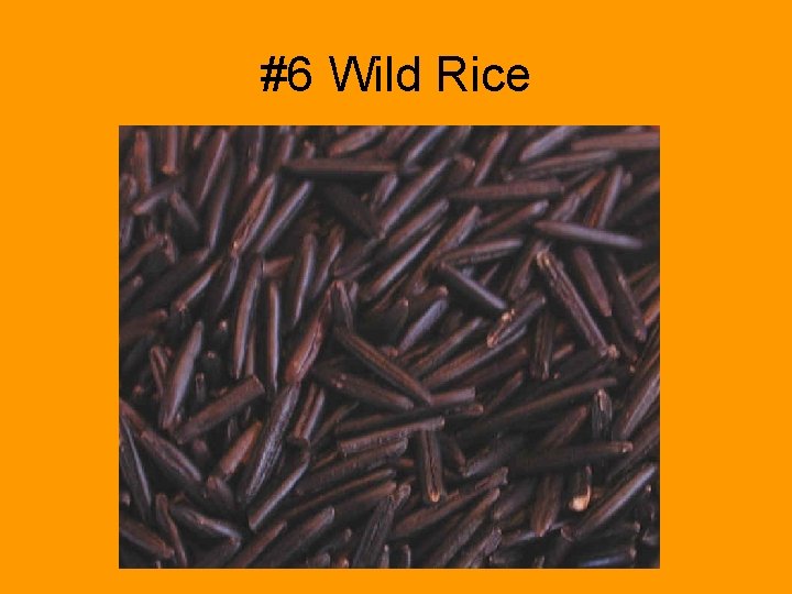 #6 Wild Rice 