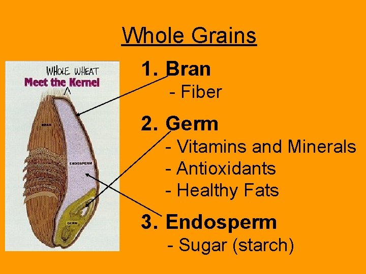 Whole Grains 1. Bran - Fiber 2. Germ - Vitamins and Minerals - Antioxidants