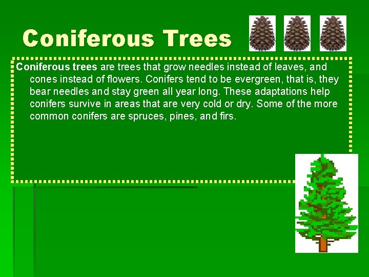 Coniferous Trees Coniferous trees are trees that grow needles instead of leaves, and cones