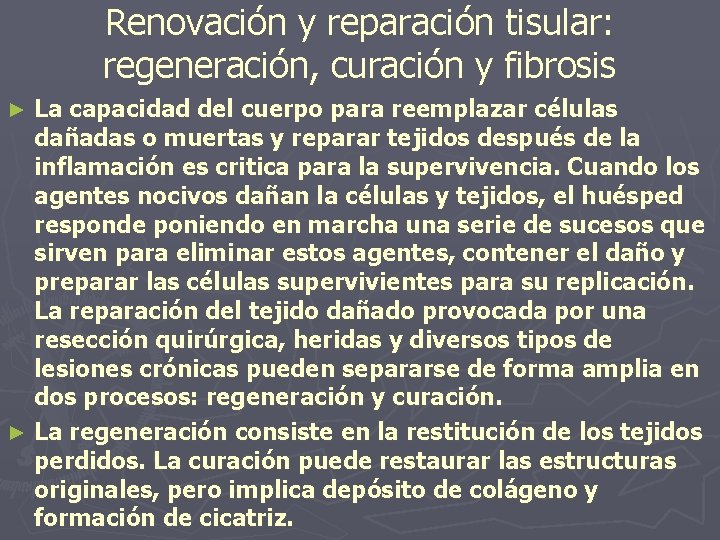 Renovación y reparación tisular: regeneración, curación y fibrosis La capacidad del cuerpo para reemplazar