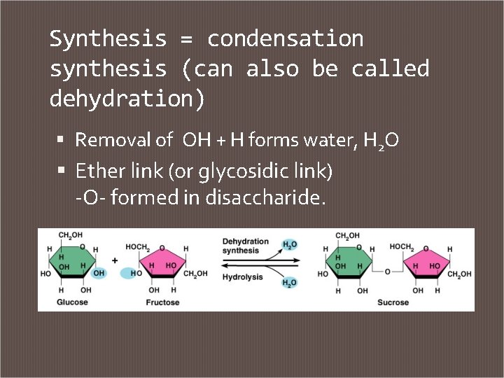 Synthesis = condensation synthesis (can also be called dehydration) Removal of OH + H