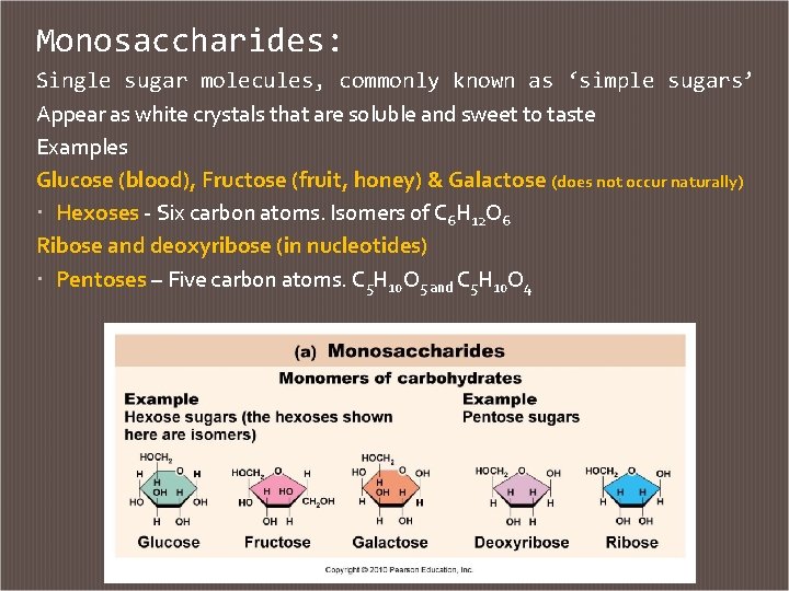 Monosaccharides: Single sugar molecules, commonly known as ‘simple sugars’ Appear as white crystals that