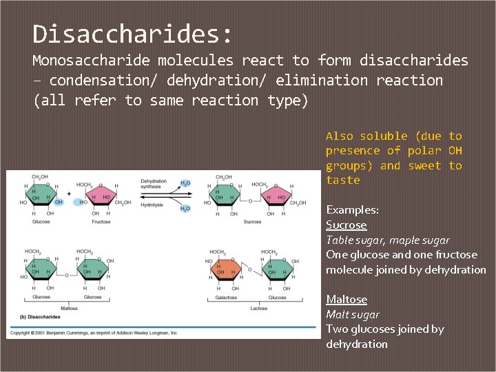Disaccharides: Monosaccharide molecules react to form disaccharides – condensation/ dehydration/ elimination reaction (all refer