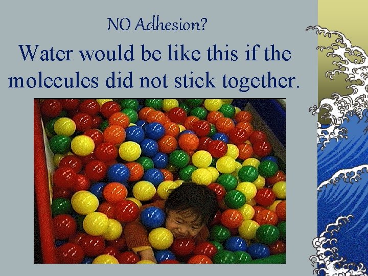 NO Adhesion? Water would be like this if the molecules did not stick together.