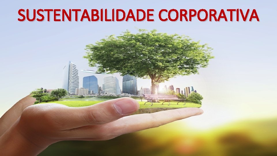 SUSTENTABILIDADE CORPORATIVA 