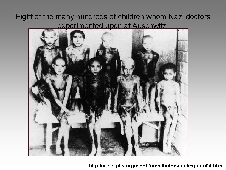 Eight of the many hundreds of children whom Nazi doctors experimented upon at Auschwitz.