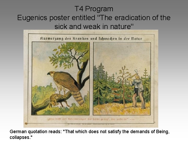 T 4 Program Eugenics poster entitled "The eradication of the sick and weak in